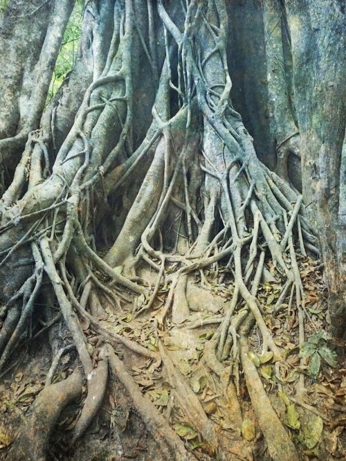 Issue #2 - The Isle of the Dead, Op. 29